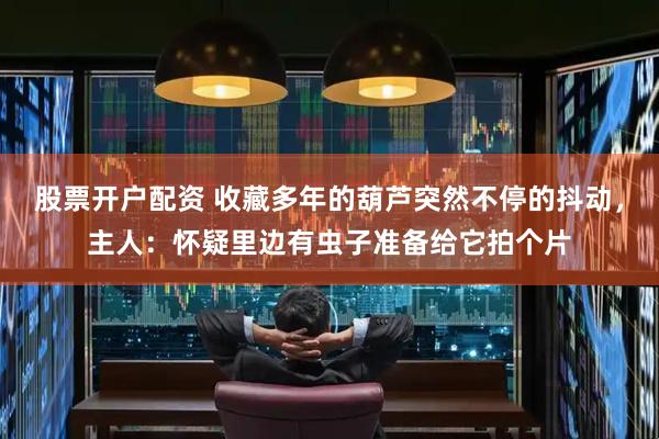 股票开户配资 收藏多年的葫芦突然不停的抖动，主人：怀疑里边有虫子准备给它拍个片