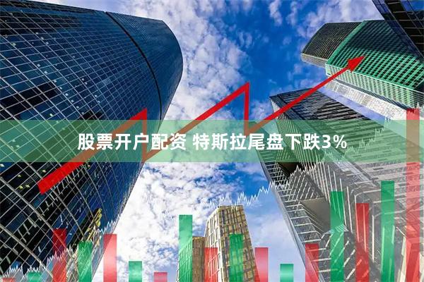 股票开户配资 特斯拉尾盘下跌3%
