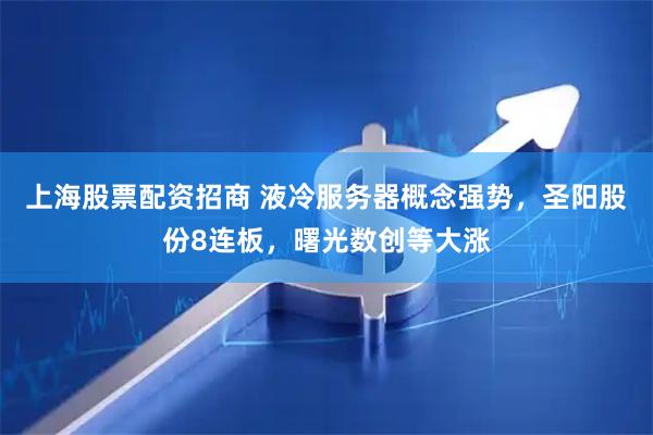 上海股票配资招商 液冷服务器概念强势，圣阳股份8连板，曙光数创等大涨